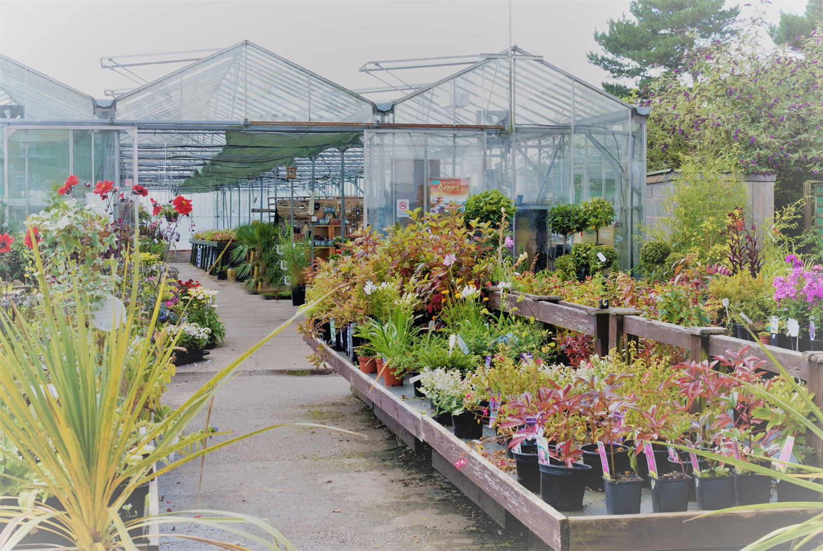 Heath House Farm and Garden Centre | a Visitor Attraction near Blythe ...